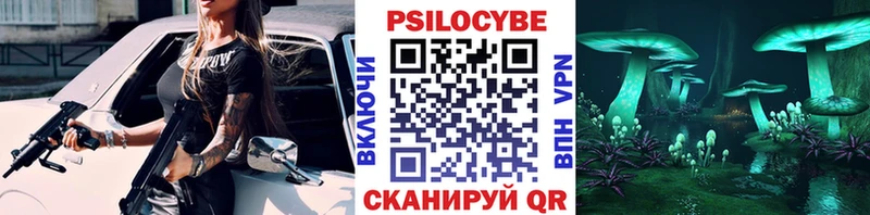 Галлюциногенные грибы Psilocybe  Омутнинск 